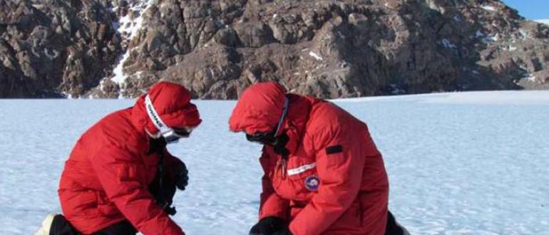 Обнаруженное в антарктиде шокировало не только ученых