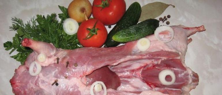 Чем полезно мясо нутрии, лечебные свойства жира Нутрия польза и вред